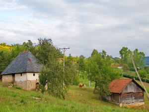 Предео села Радошево